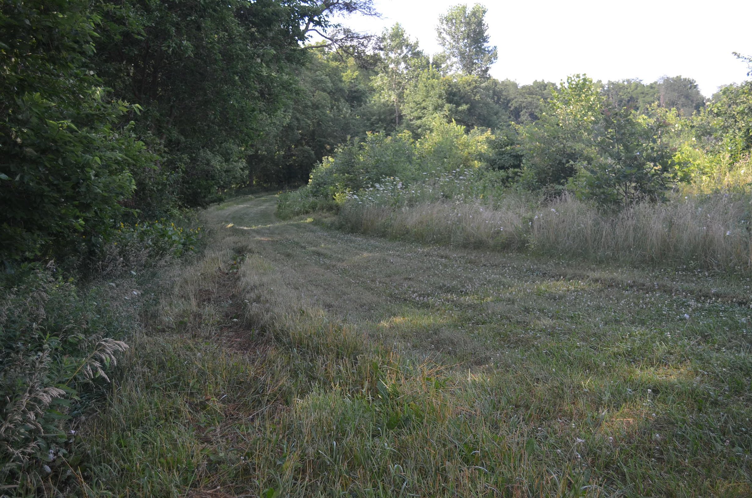 Property photo 23 - REAL ESTATE AUCTION - 26+/- ACRES IN 3 TRACTS IN SOUTHWEST ALLEN COUNTY, INDIANA